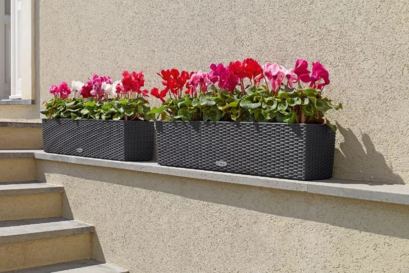 Zwei längliche Blumentöpfe mit Blumen